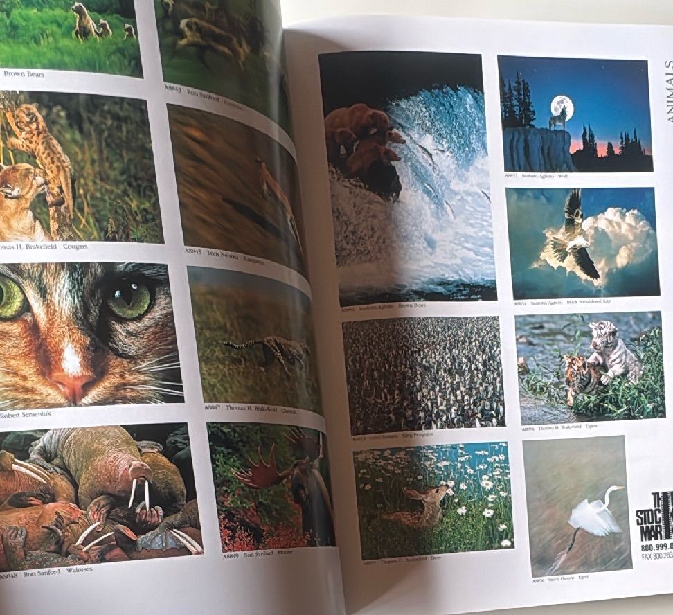 The Stock Market Photo Catalog Vol 8 1994 Rare Vintage Photography Book — photo 17 of 18